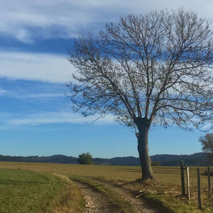 Sentier La croix de la Sauteuse