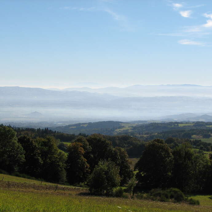 De la menuiserie à la sculpture - PR 59