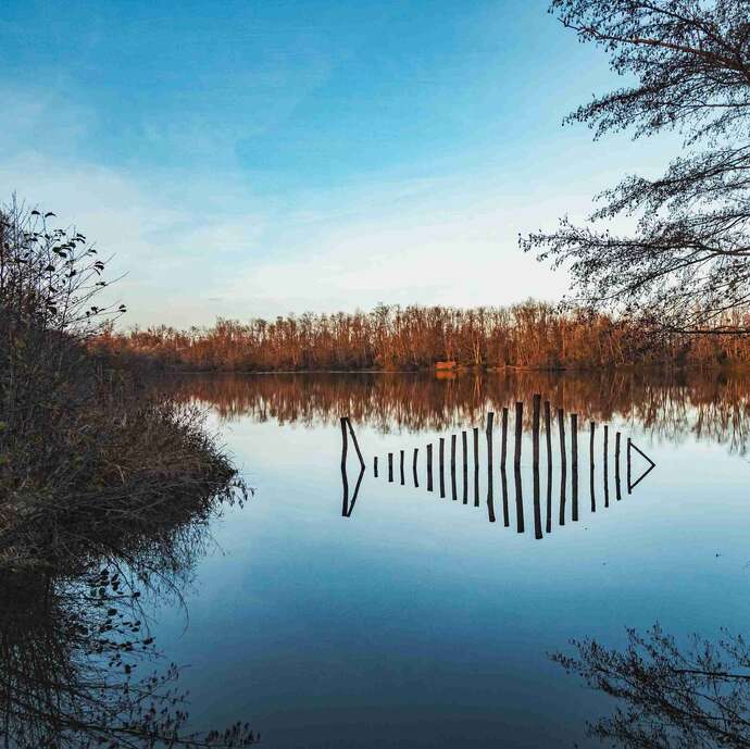 Gravière aux Oiseaux - Petites bêtes de la mare