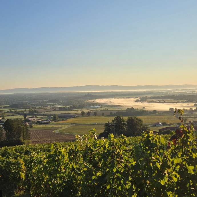 Rencontres gourmandes et festives