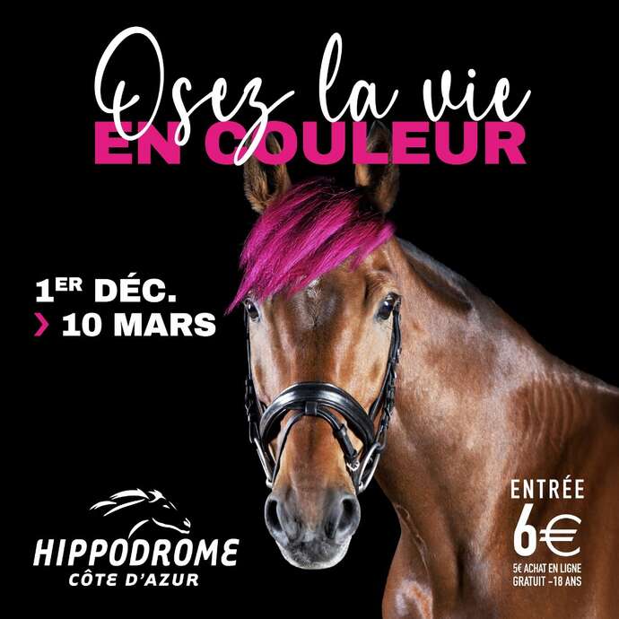 Meeting hippique d'hiver Meeting hippique d'hiver