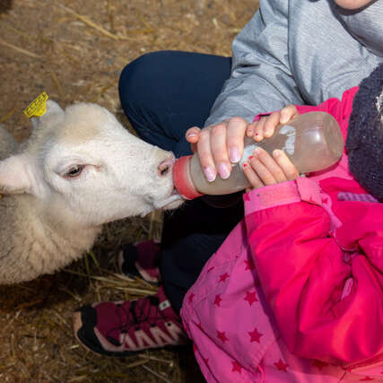 Atelier glace aux yaourts de la ferme