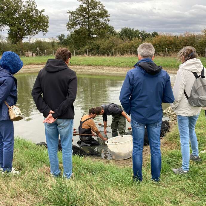 Plongez dans le monde de la pisciculture...