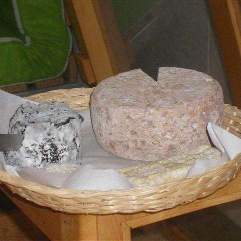 La loge de printemps