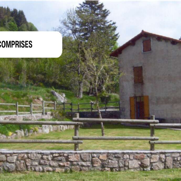 Les Jonquilles