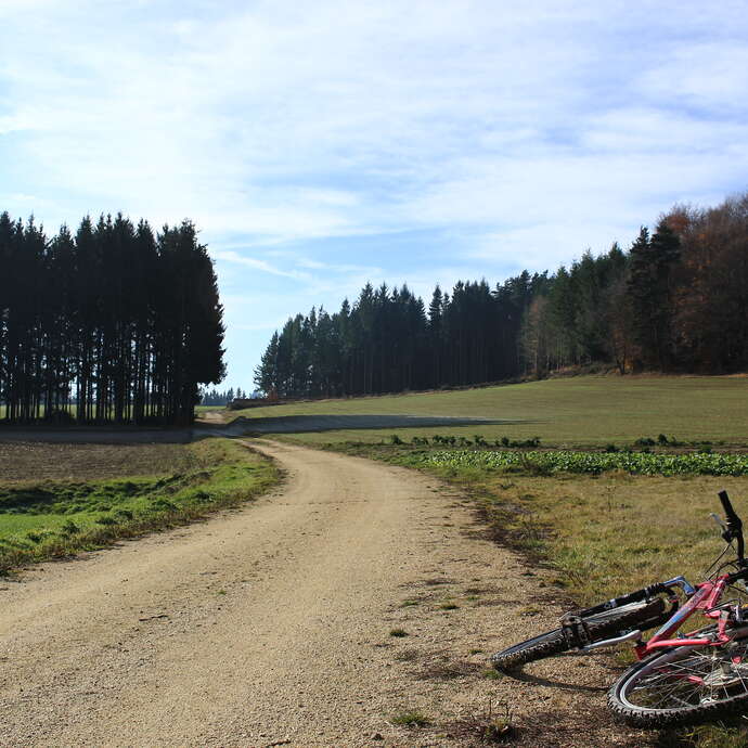 N°93 - La boucle de l'Ecomusée - Espace VTT Montbrison-Monts du Forez