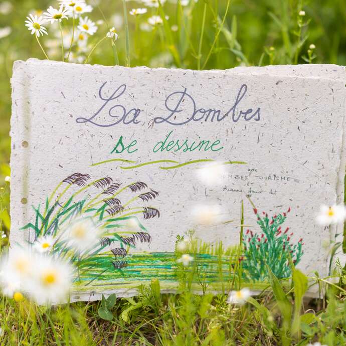 La Dombes se dessine à Prêle