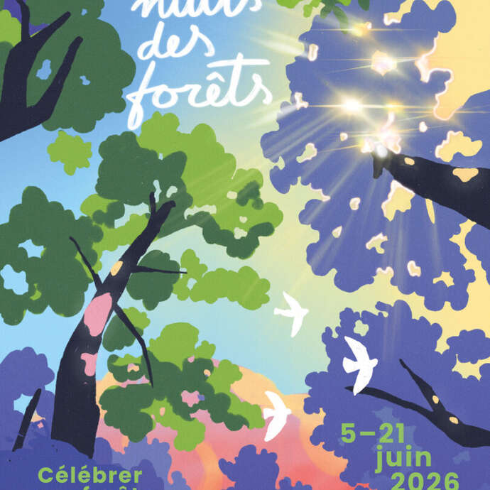 Les Nuits des Forêts