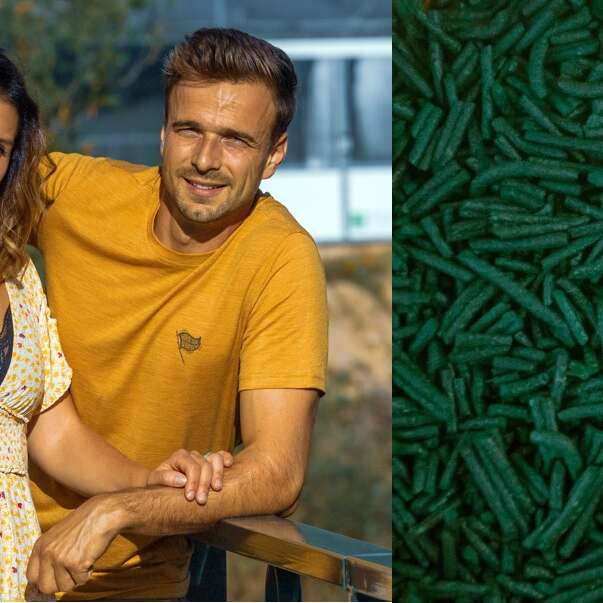 Spiruline "Vert l'Essentiel" - Portes-ouvertes