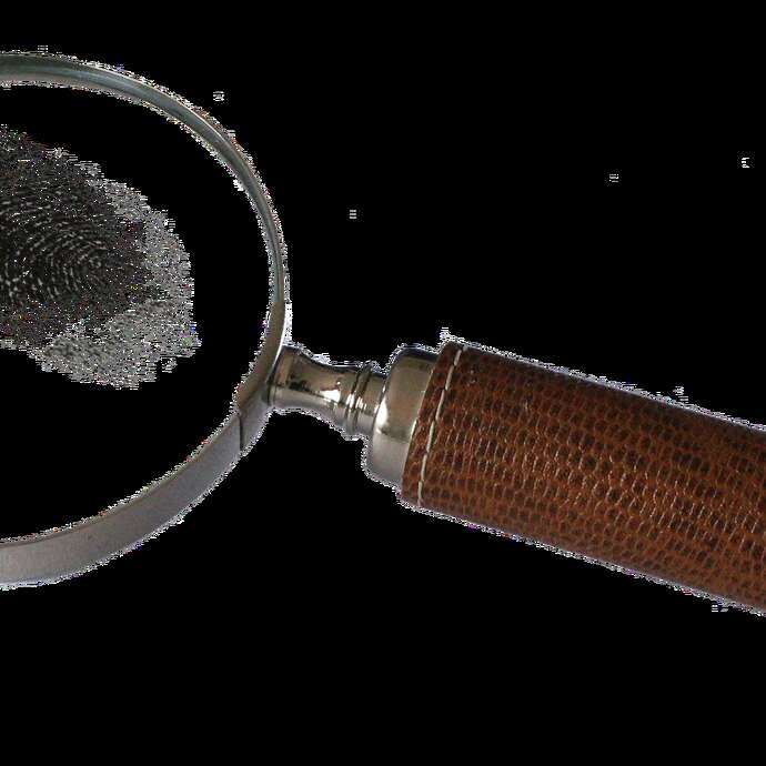 Chasse au trésor : la mystérieuse carte