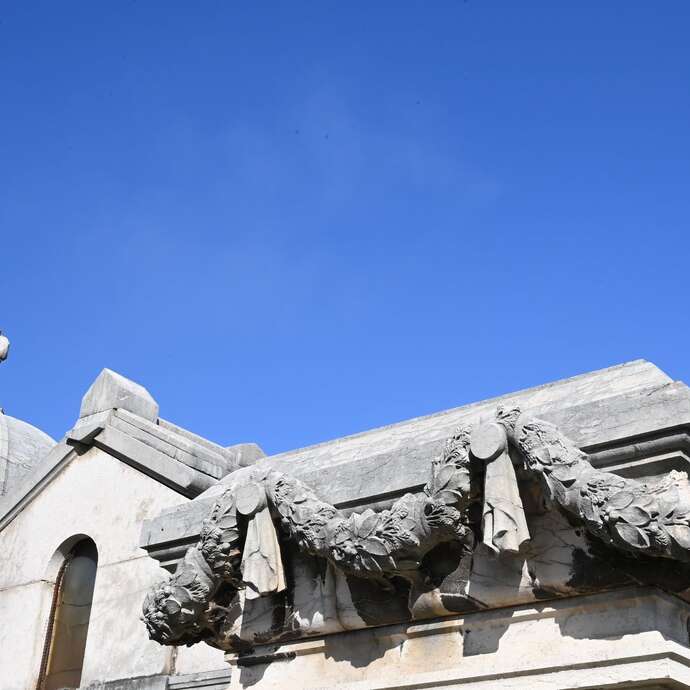 Visite guidée - Animaux et végétaux dans la symbolique funéraire