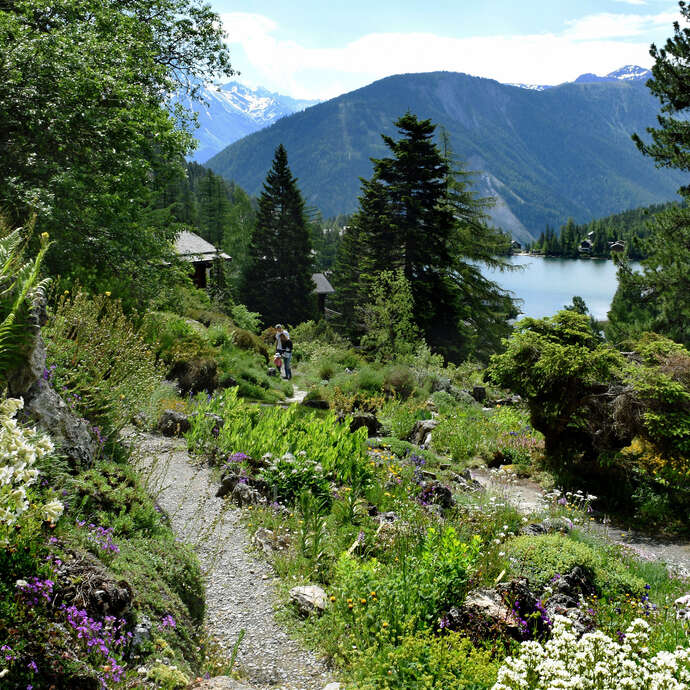 Jardin alpin Flore-Alpe