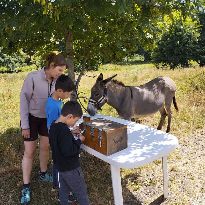 Treasure hunt with a donkey