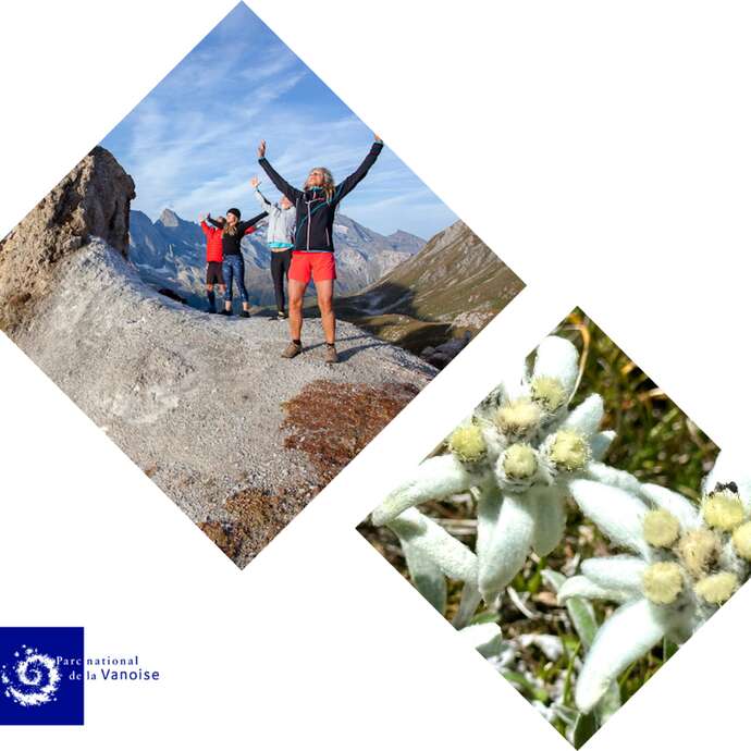 Balade "botanique passion et bien-être zen"