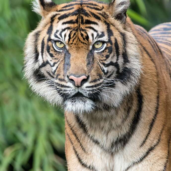 Sortie - Zoo de Plaisance-du-Touch