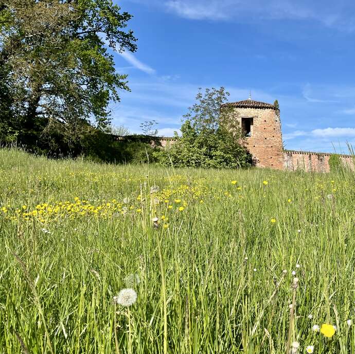 Guided tour of the historic center of Châtillon-sur-Chalaronne
