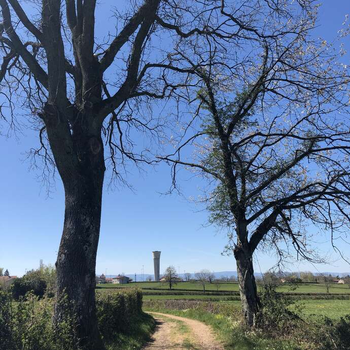 Boucle du château d'eau - PR 20