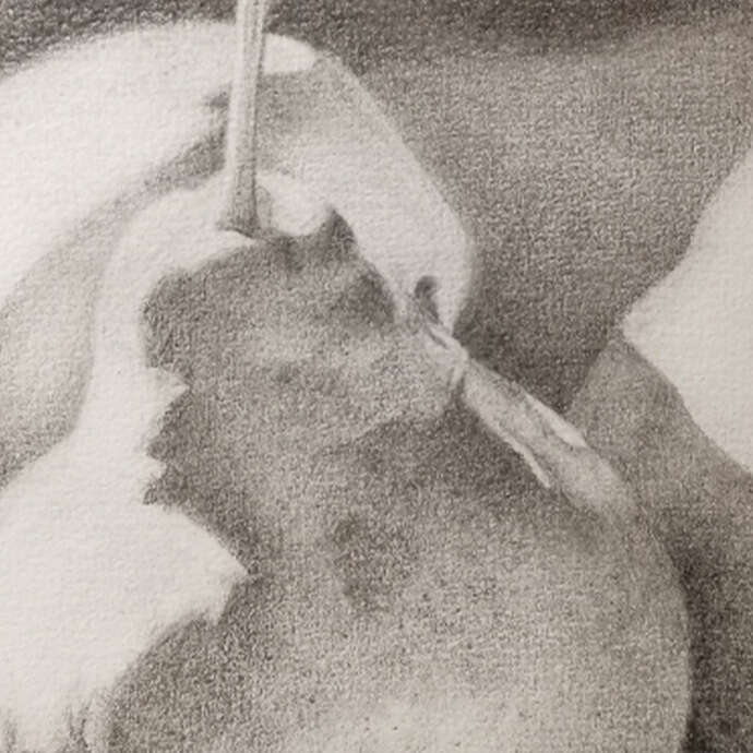 Exposition Centre social l'Arbre à Chouettes