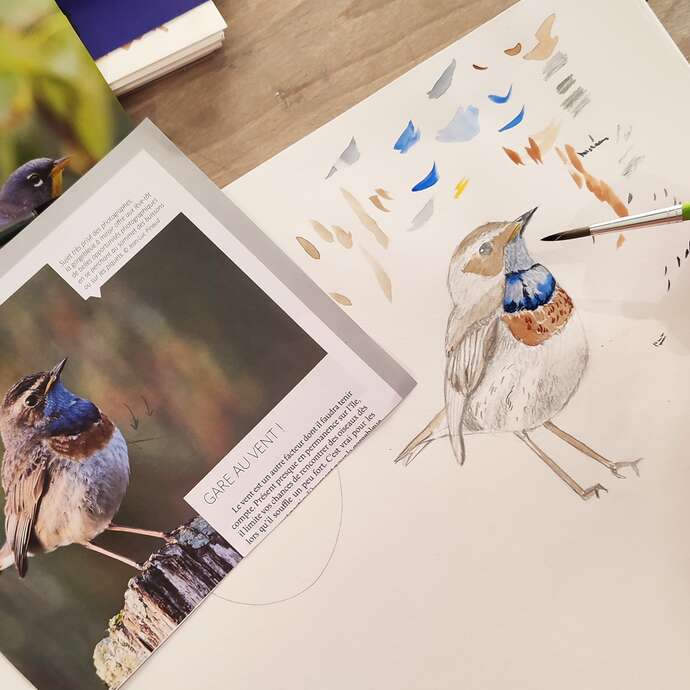 Atelier de dessin animalier