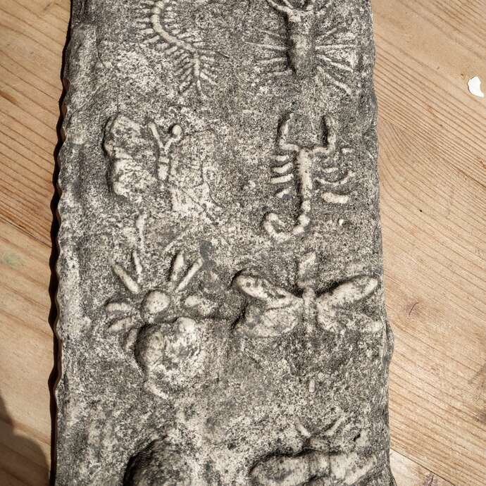 Faire son fossile