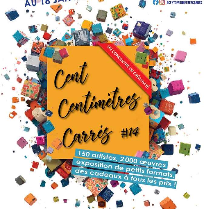 Exposition Cent Centimètres Carrés #14