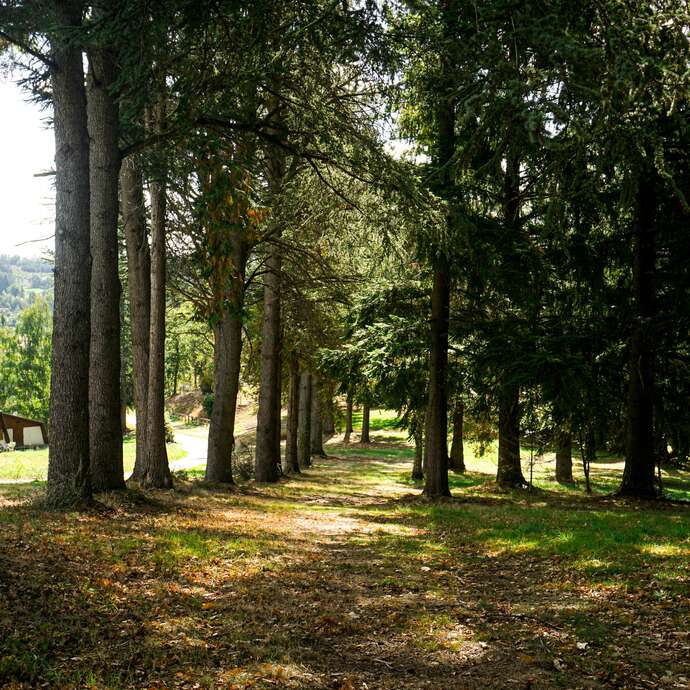 Jusqu'au Bout du Monde - PR 6