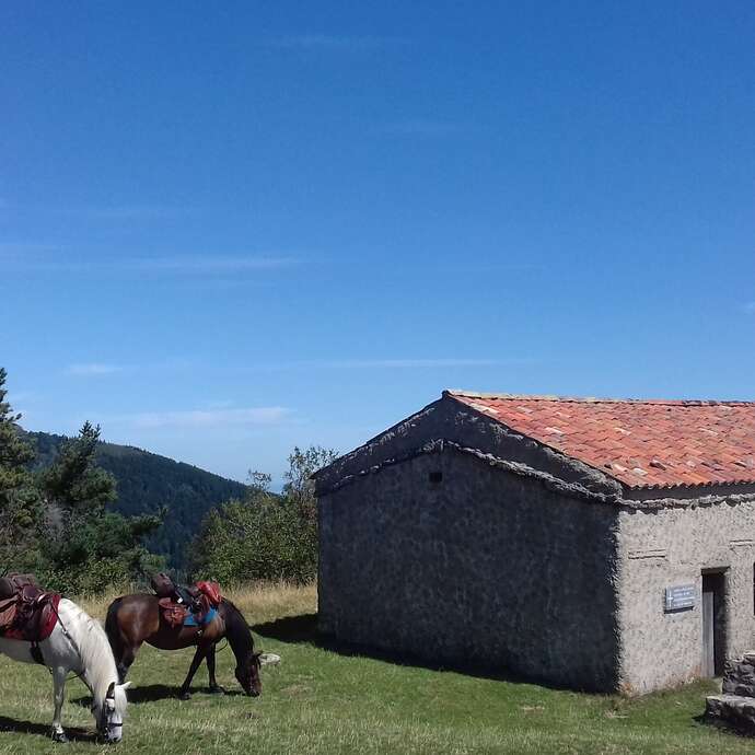 Les Sabots de la Vigne - Balades, randonnées et voyages équestres