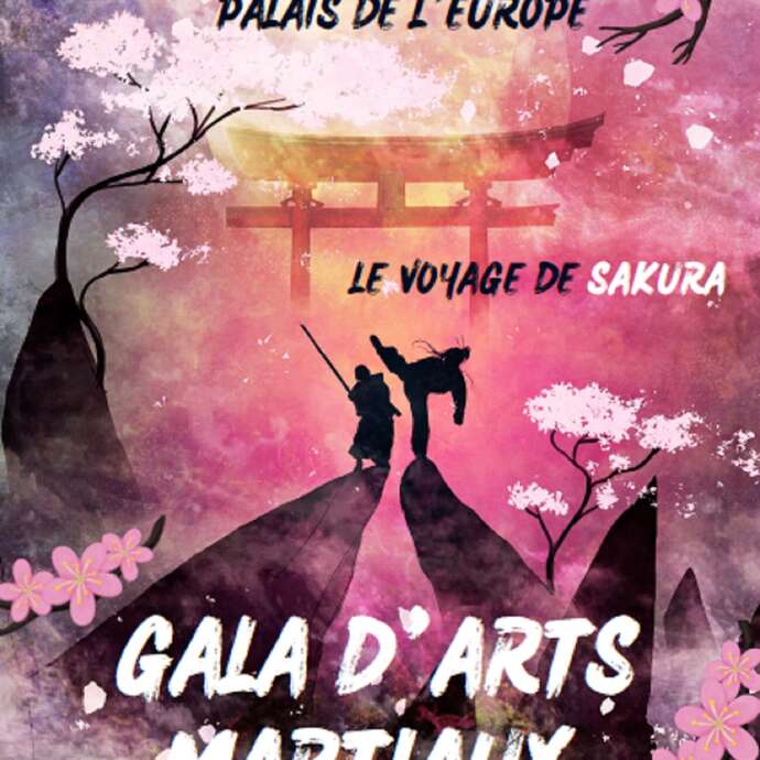 Gala Arts Martiaux