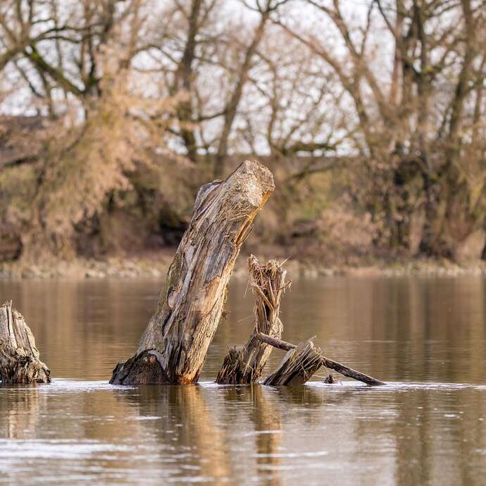 Notre fleuve Loire en héritage - Conférence UPT