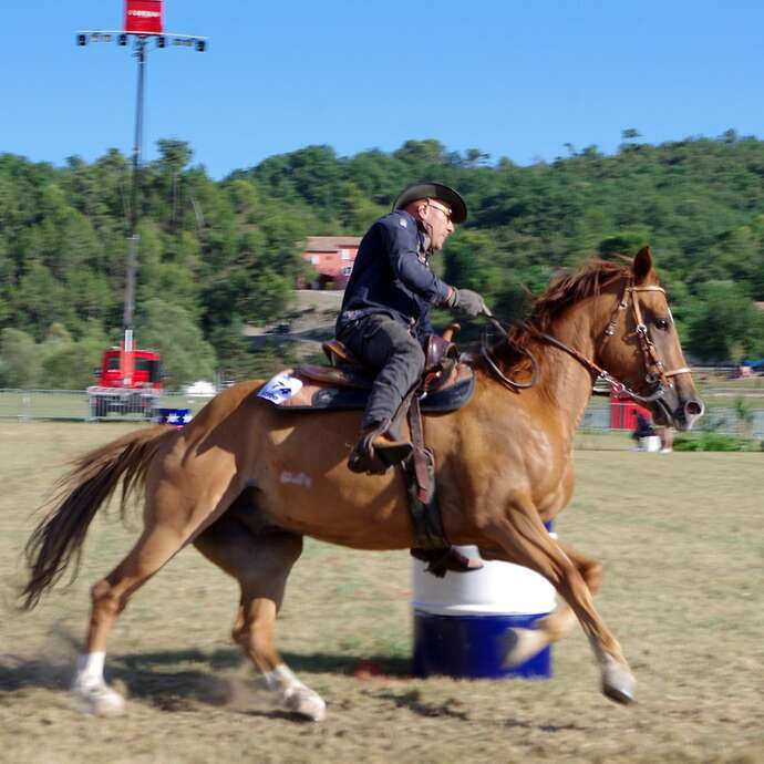 Festival del cavallo