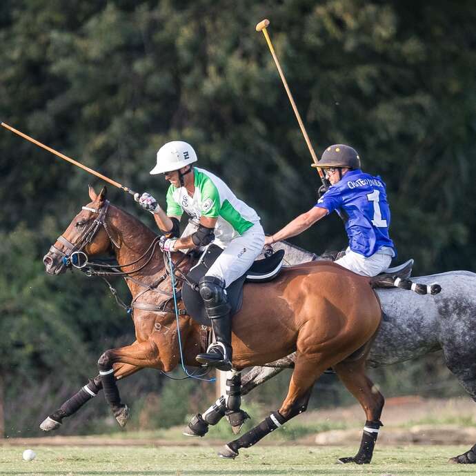 Tournoi polo - Golf cup