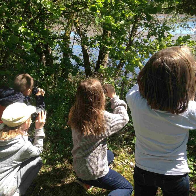 A vol d'oiseaux - Les RDV de la Nature A vol d'oiseaux - Les RDV de la Nature