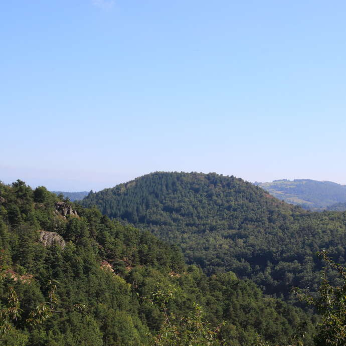 Mont Miolin