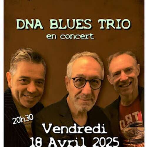 Concert "DNA Blues Trio" - Hall Blues Club