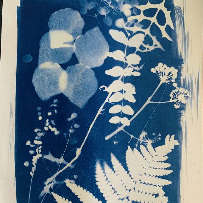 Atelier cyanotype