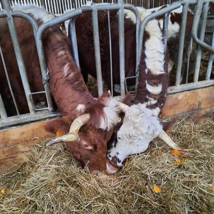 La Ferme du Perrier
