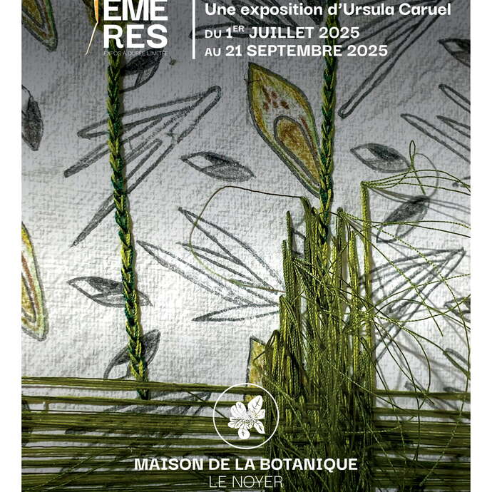 Vernissage de l'exposition : Virentia Fragilis