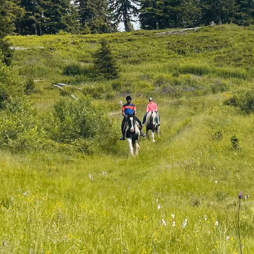Hiking and equestrian activities