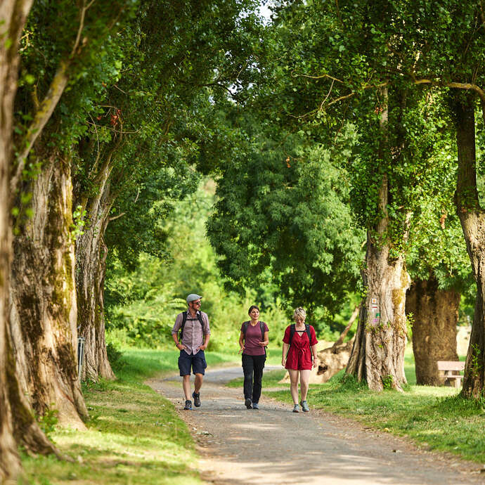 Du château à motte à la vigne par le verger