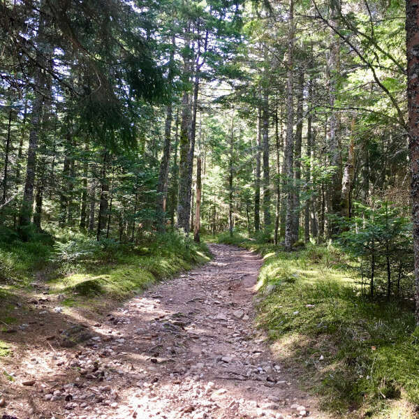 Espace Trail du Col de la Loge