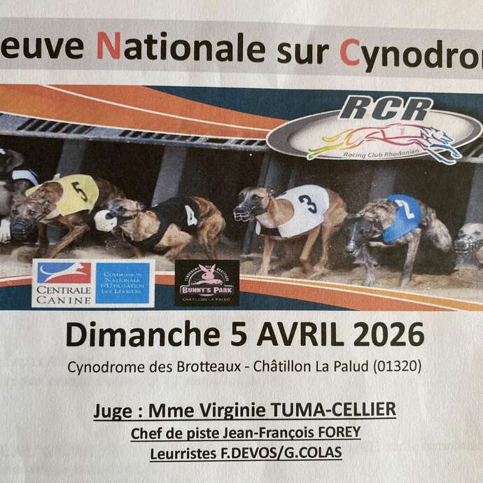 Epreuve Nationale sur Cynodrome - Courses de lévriers