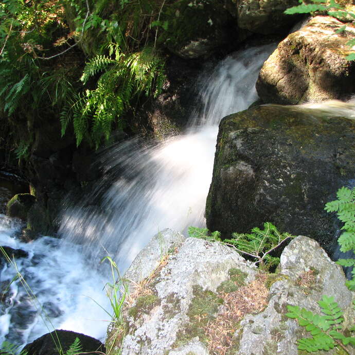 Vallée de Chorsin