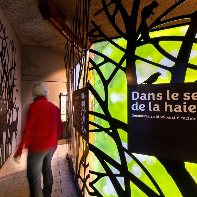 Exposition : Dans le secret de la haie