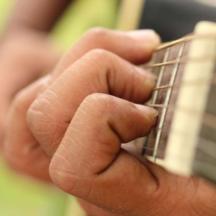 Die Harmonie der Möwen