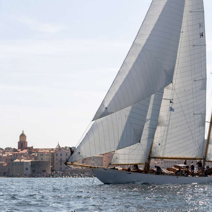 Les Voiles de Saint-Tropez