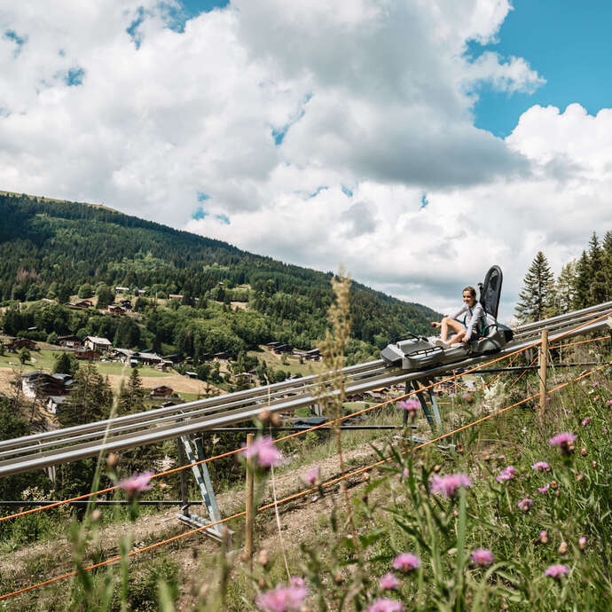Luge 4 Saisons