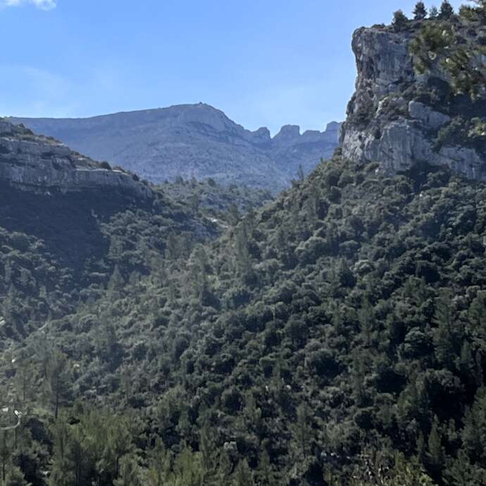 Sur la piste du loup dans le Ravin des Encanaux - Journée