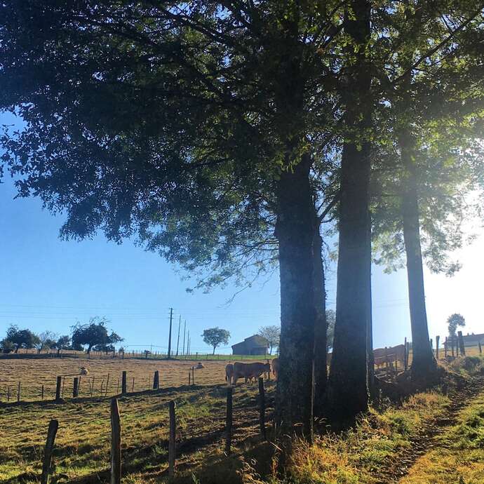 Sentier La boucle du Carrat
