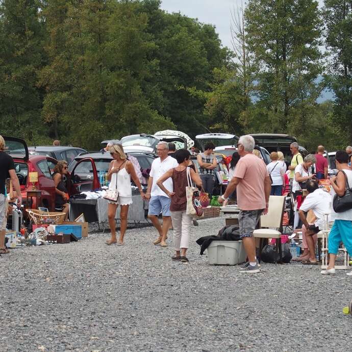 Puces marcellinoises