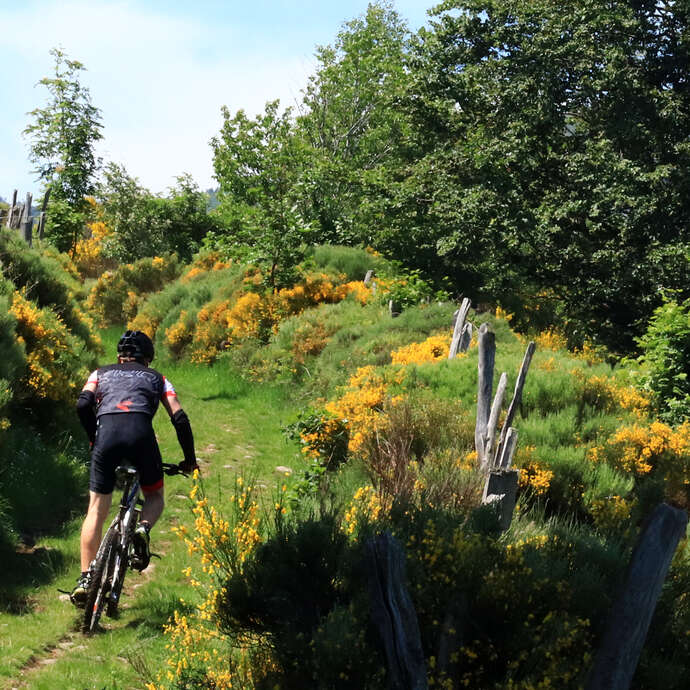 Circuit VTT : Les barrages